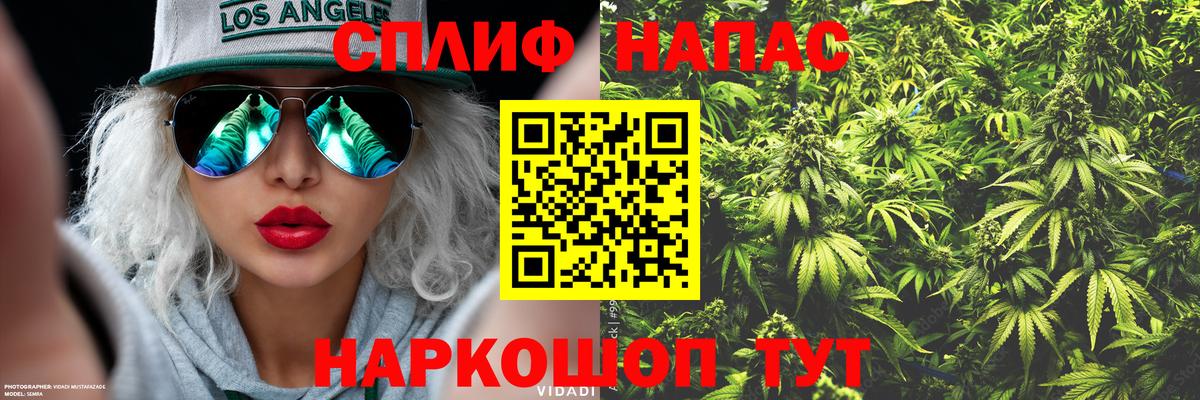 Мытищи  Канабис Ganja  Вход с VPN  Марихуана тримм  Бошки Шишки Amnesia 